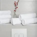 Lenau 3*