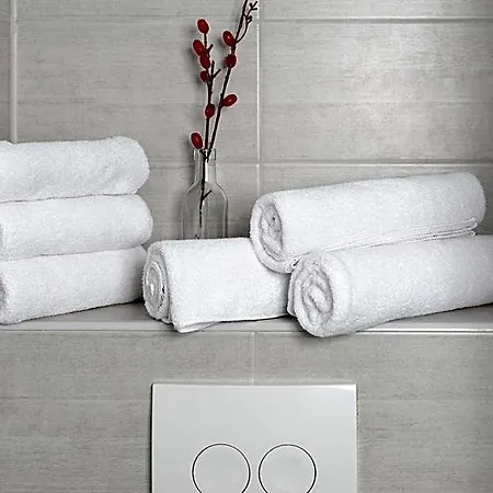 Lägenhetshotell Lenau 3*